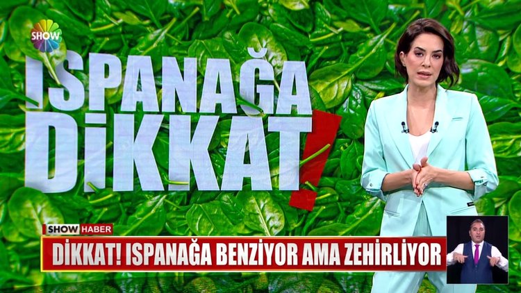 Ispanağa benziyor ama zehirliyor