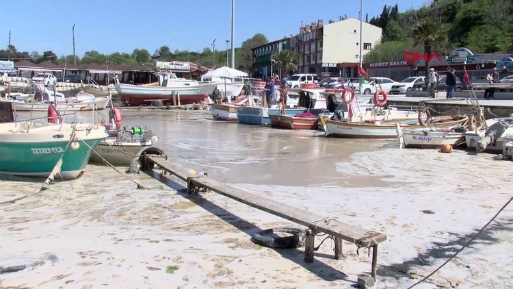 Prof. Dr. Lokman Hakan Tecer'den müsilaj açıklaması