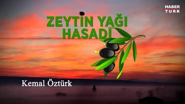 Zeytinyağı hasadı başladı