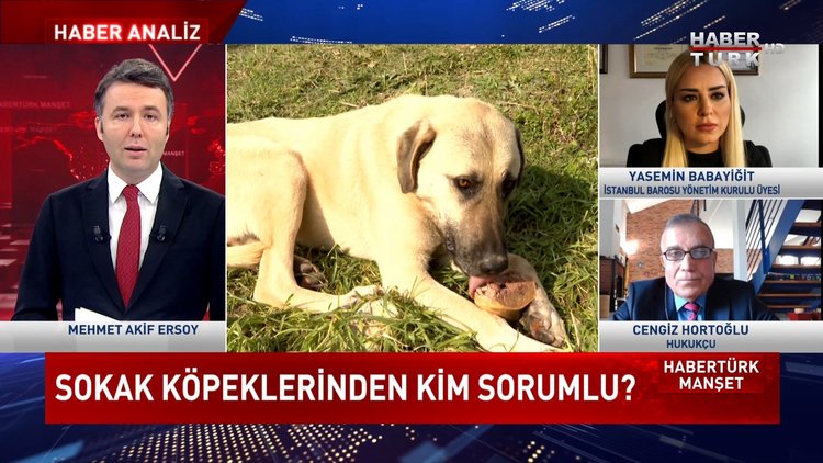 Habertürk Manşet - 30 Kasım 2021 (Sokak köpeklerinden kim sorumlu, çözüm ne?)