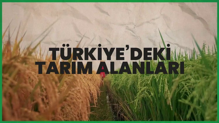 Yıllara göre Türkiye'de tarım alanı büyüklüğü