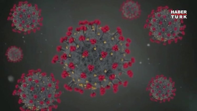 DSÖ: Covid-19 aşılarının ağır hastalık ve ölüme karşı etkisinde küçük bir düşüş var