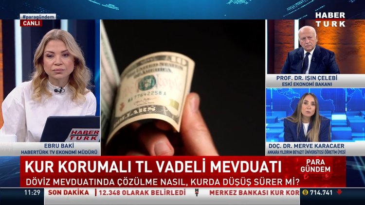 Kur korumalı TL mevduatı