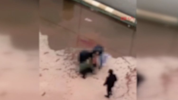 İki pitbull köpeği küçük kıza saldırdı!