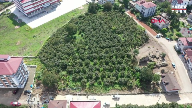 Lahit mezar bulunan bölgede 'Hermes' figürlü yüzüğe ulaşıldı