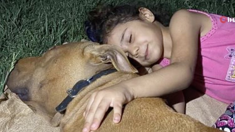 Asiye saldırıdan önce köpeklerle oynamış