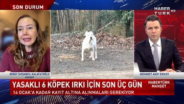 Habertürk Manşet - 12 Ocak 2021 (Yasaklı 6 köpek ırkı için kayıtlar tamamlandı mı?)