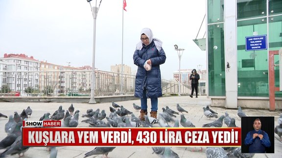 Kuşlara yem verdi, 430 lira ceza yedi!