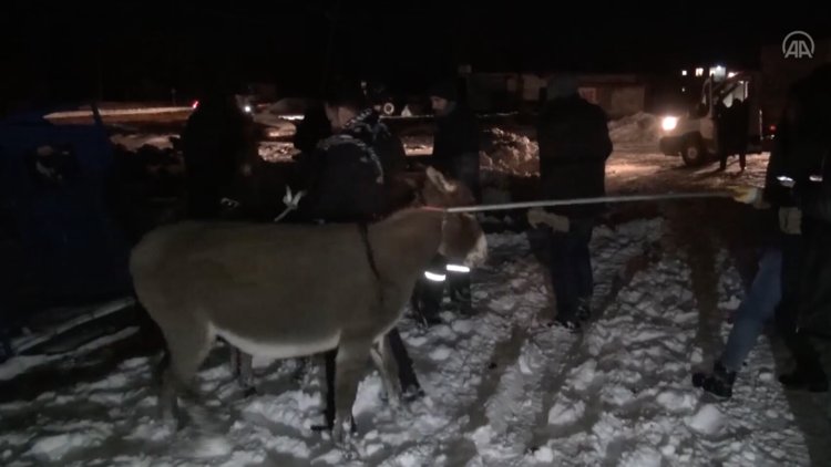 Siverek'te donma tehlikesi geçiren eşekler barınağa götürüldü