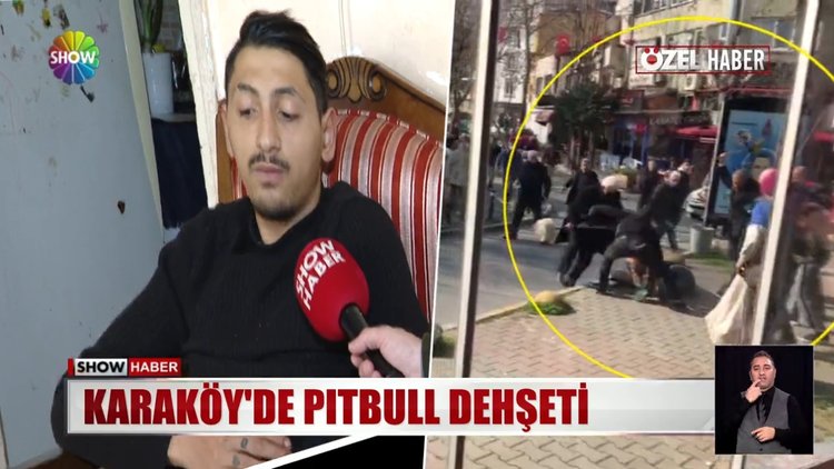 Karaköy'de pitbull dehşeti