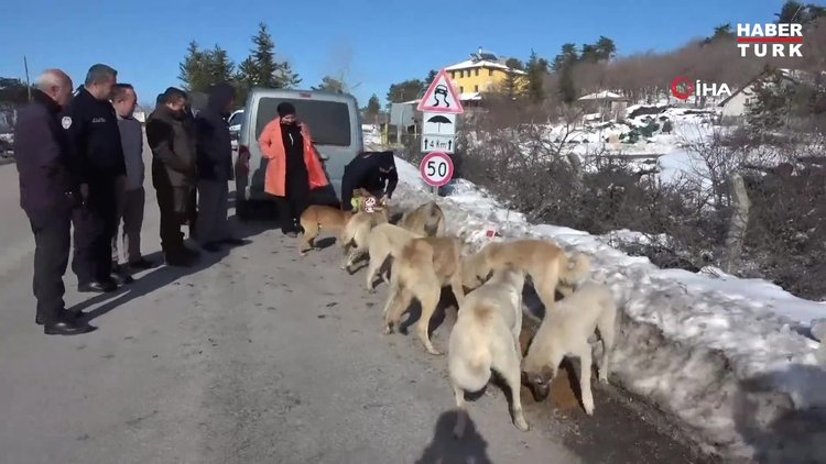 Çorum'da yaban hayvanları için doğaya yem bırakıldı