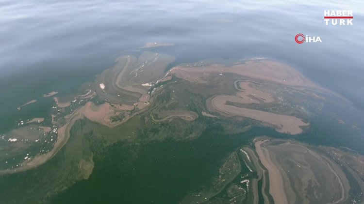 İstanbul'da müsilaj yeniden görüldü