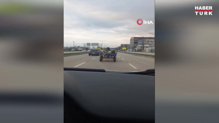 Bursa'da sürücüsüz at arabası trafiği birbirine kattı!