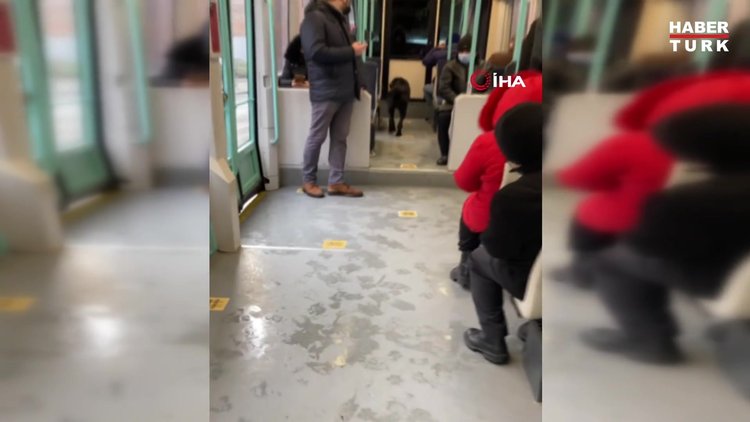 Soğuktan üşüyen köpek tramvaya bindi