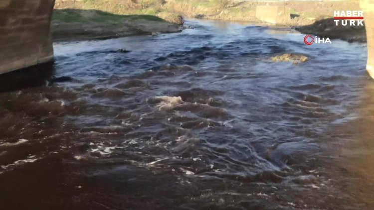 Ergene Nehri siyah akmaya devam ediyor