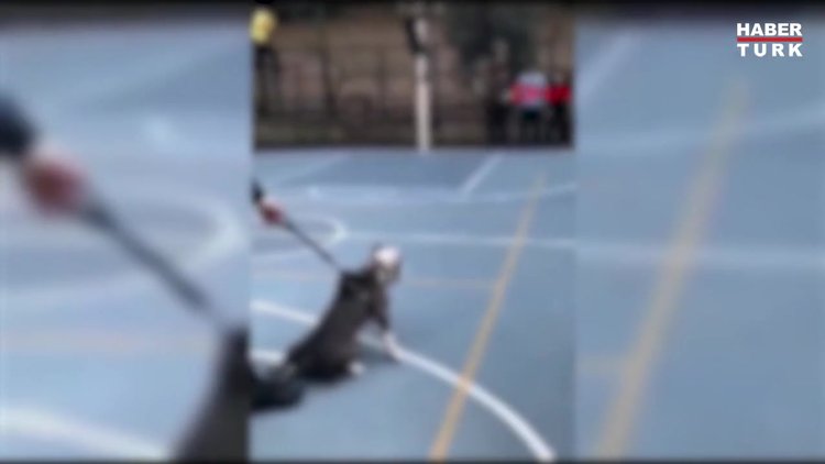 PİTBUL'LA ŞAKA BASKETBOL SAHASINDAKİ ÇOCUKLARA DEHŞETİ YAŞATTI