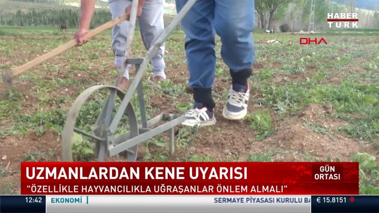 Uzmanlardan kene uyarısı!