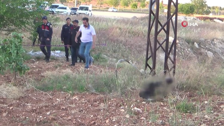 Hırsızın feci sonu!