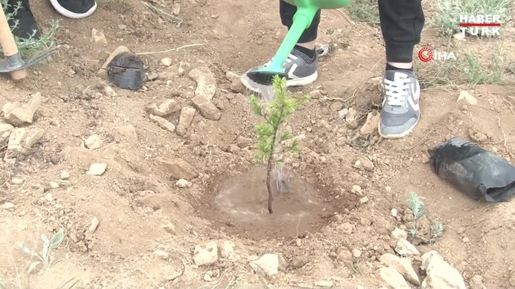 Yanan ormanların anısına motosiklet tutkunlarından anlamlı proje
