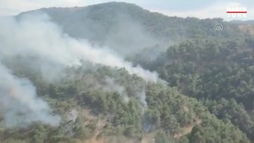 Urla ve Dikili ilçelerinde ormanlık alanlarda yangın çıktı
