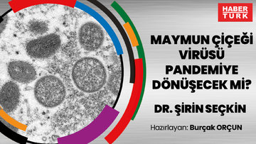 Maymun Çiçeği Virüsü pandemiye dönüşecek mi?