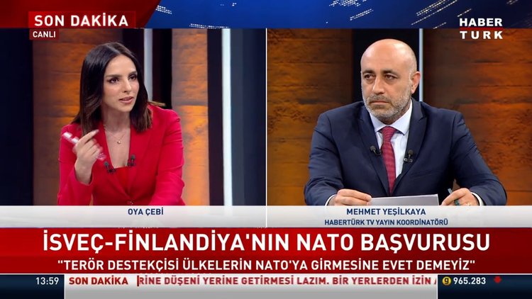 İsveç - Finlandiya'nın NATO başvurusu