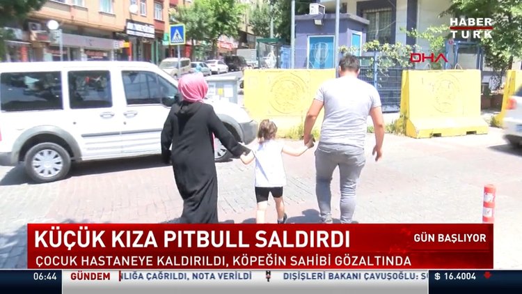 Küçük kıza pitbull saldırdı