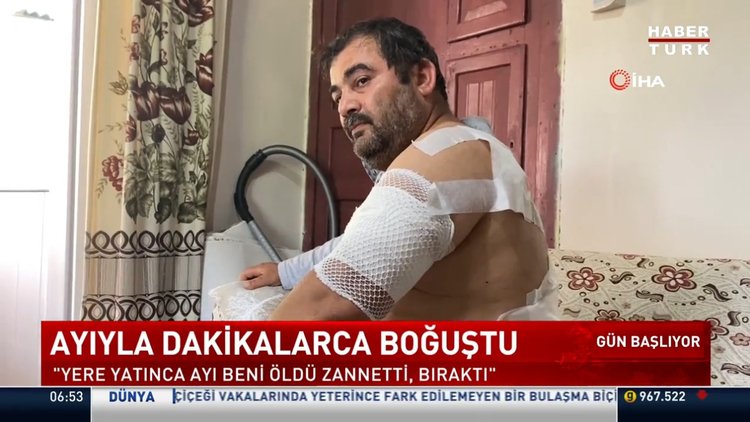 Bartın'da ayı saldırısı