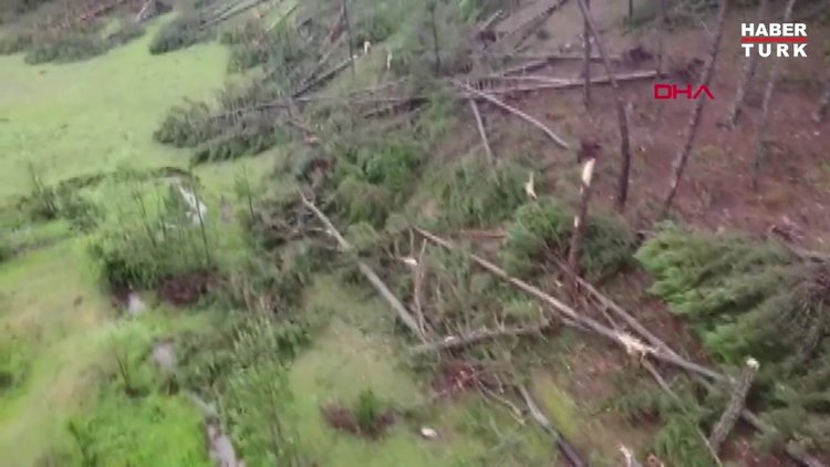 KÜTAHYA'DA FIRTINA; ORMANDA YÜZLERCE AĞAÇ DEVRİLDİ
