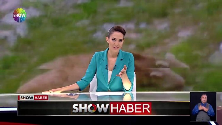 Karşılıklı kükrediler