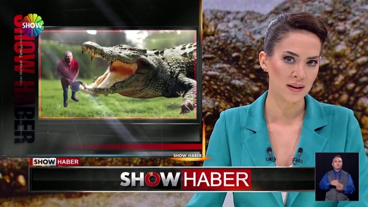 Tavayla vurdu, timsah kaçtı!