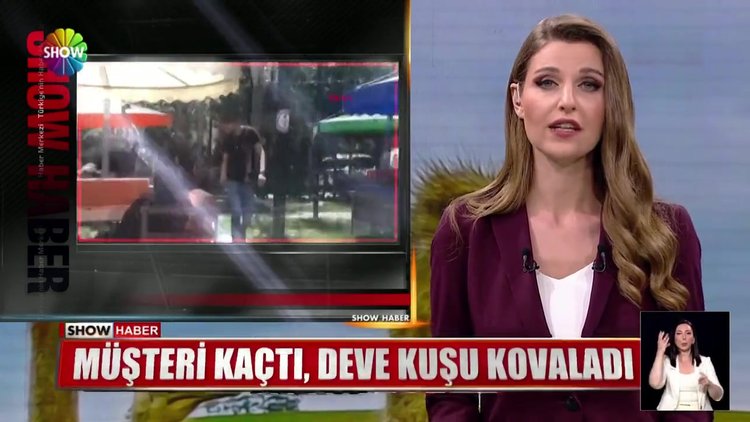 Müşteri kaçtı, deve kuşu kovaladı
