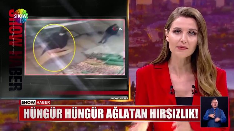 Hüngür hüngür ağlatan hırsızlık!