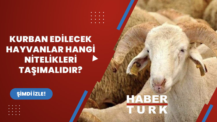 Kurban edilecek hayvanlar hangi nitelikleri taşımalıdır?