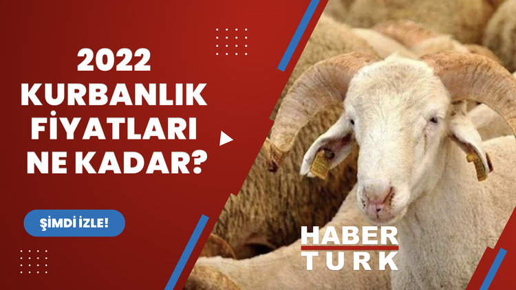 2022 kurbanlık fiyatları ne kadar?