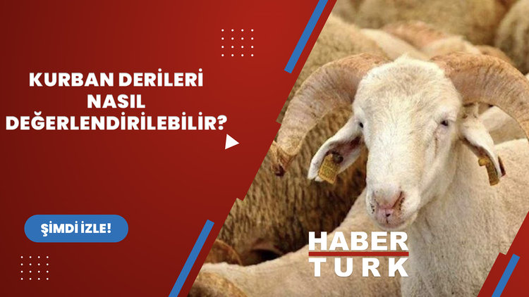 Kurban derisi nasıl değerlendirilebilir?