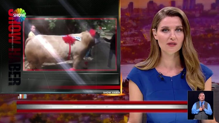 Fırtına 120 bin liradan satışa çıktı