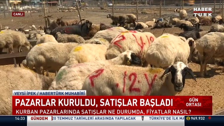 Kurban pazarları kuruldu
