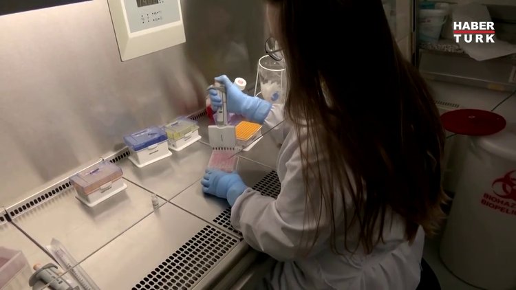 Maymun çiçeği virüsü belirtileri neler? Maymun çiçeği nasıl bulaşır?