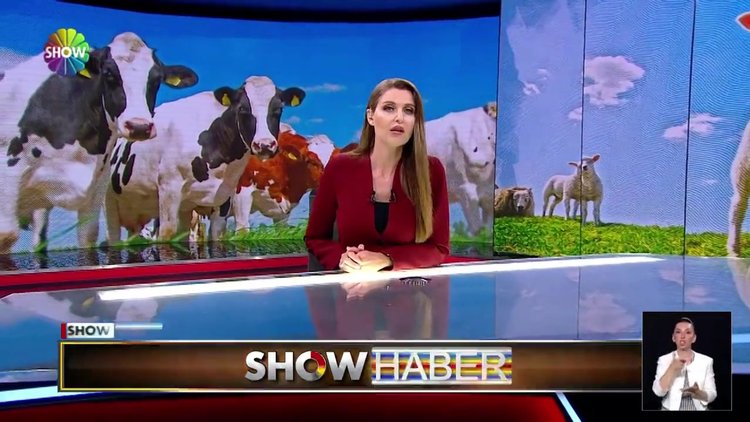 Kurban pazarlarında son durum