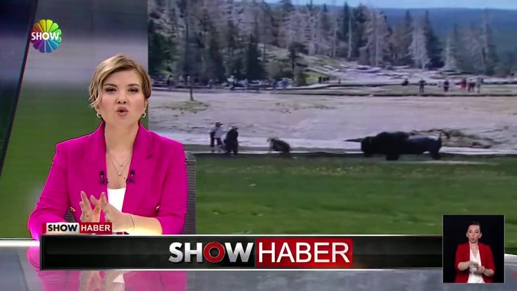 Kahraman turist böyle kurtardı