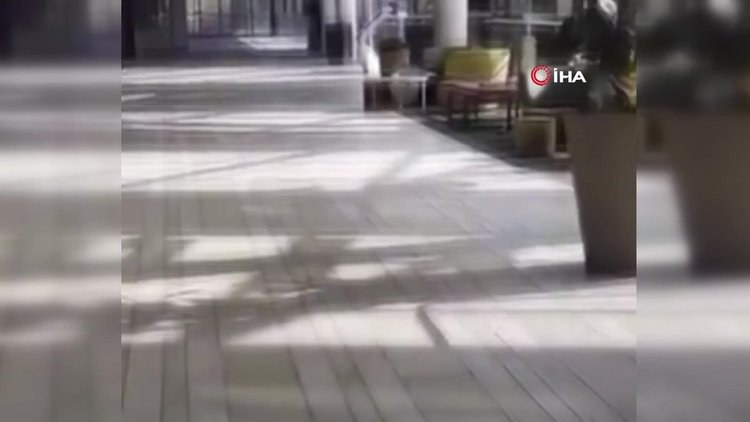 Danimarka'daki AVM saldırısında çok sayıda kişi öldü