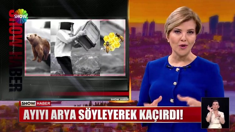 Ayıyı Arya söyleyerek kaçırdı!
