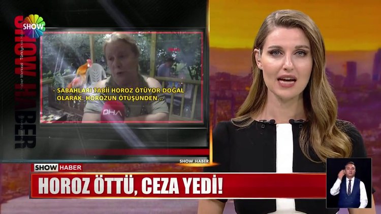 Horoz öttü, ceza yedi!