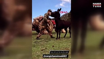Başpehlivan Şimşek, altın kemeri getiren oyunu eşekle çalışmış
