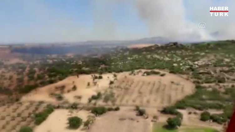 Çanakkale'de orman yangını!