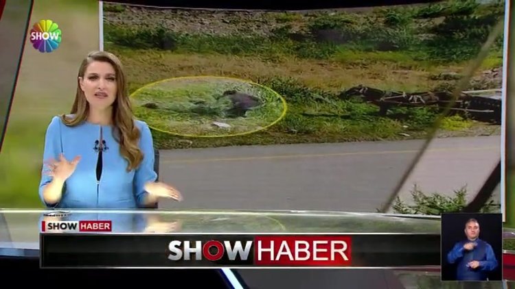 Vicdansızlığın görüntüsü!