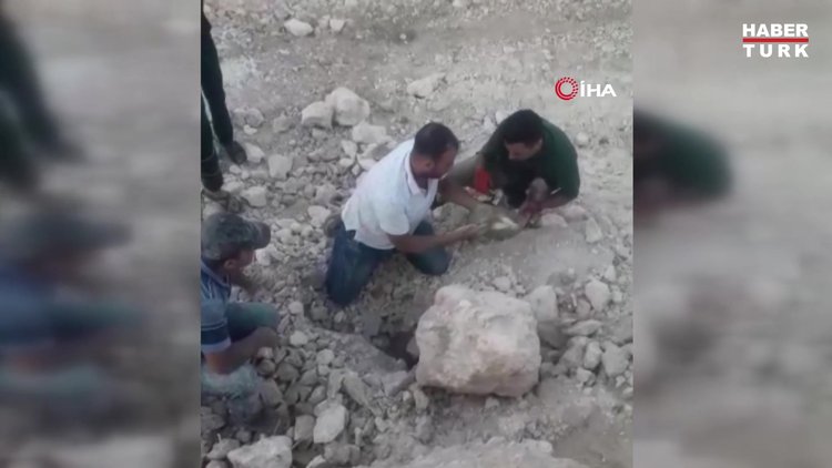 İzinsiz dökülen inşaat atıkları altında kalan 5 köpek yavrusu kurtarıldı