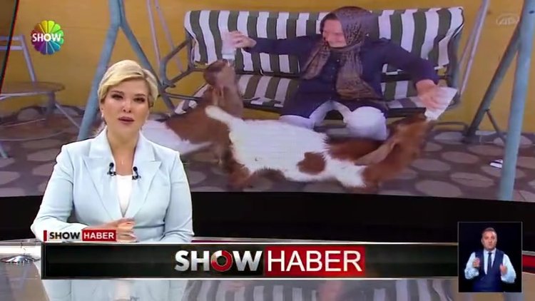 Oğlaklara annelik yapıyor