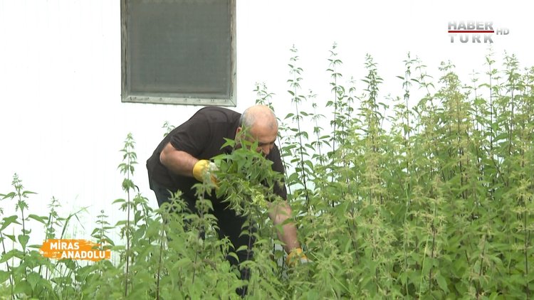 Miras Anadolu - 10 Temmuz 2022 (Çerkez mutfağının geleneksel yemekleri neler?)